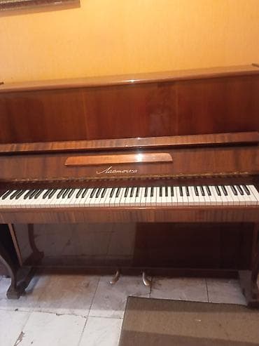 Электротранспорт: Пианино, Акустический, Платная доставка — 4