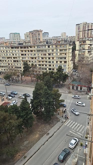 zigda satilan bina evleri: 3 otaqlı, Yeni tikili, 115 kv. m — 9