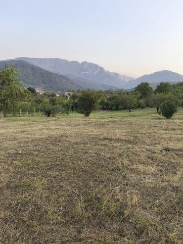 bulbulede torpaq: 40 sot, Tikinti, Mülkiyyətçi, Kupça (Çıxarış) — 7