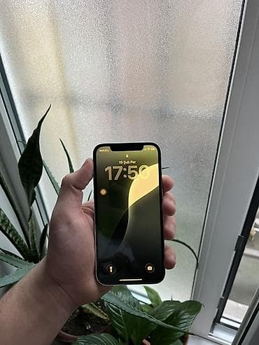 kabura iphone x: IPhone 12 Pro, Ağ, Simsiz şarj — 5