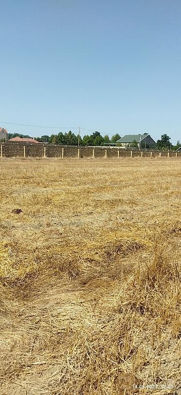 satiliq evler 2019: 28 sot, Biznes üçün, Mülkiyyətçi, Kupça (Çıxarış) — 5
