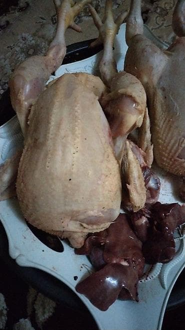 Ləpələr: Kənd toyuğu Toyuq Bütöv — 1