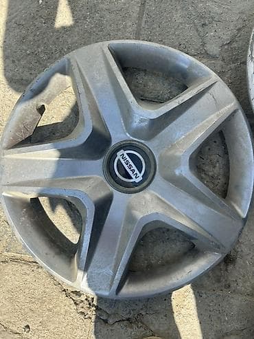 13 disk: Kolpak Nissan R 15 — 1