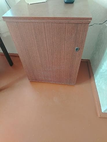 Düz dolab, Açılan, Korpuslu, 1 qapı