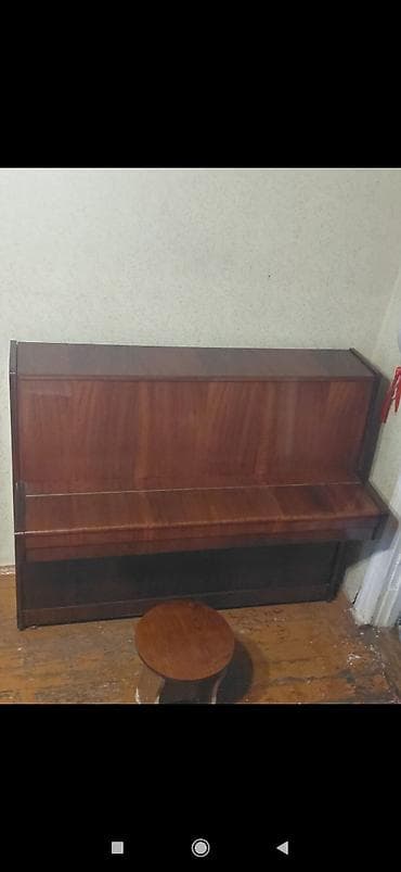 Zərb alətləri: Piano, Belarus, Akustik, İşlənmiş — 2