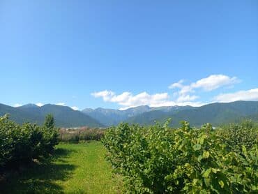 купить дом в баку хырдалан: 27 соток, Для сельского хозяйства, Собственник, Купчая, Техпаспорт — 8