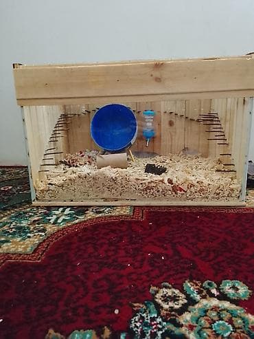 Yemlər: Taxta hamster qəfəsi - Material: qalın taxta karkas, üst hissə metal — 3