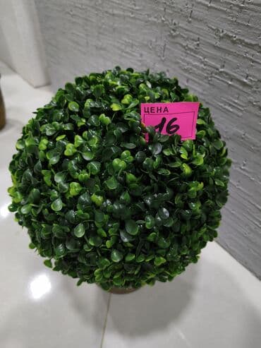 guldan: Süni dekorativ bitkilər – saksıda - Model 1: Top şəklində sıx — 1