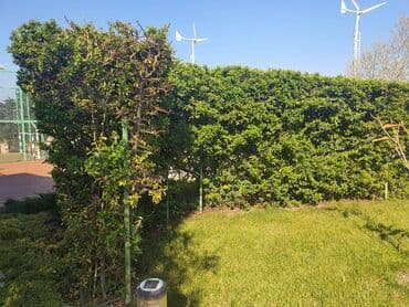 7 8 mkr satilan evler: 6 otaqlı, 420 kv. m, Orta təmir — 4