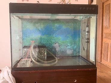Akvarium aksessuar və ləvazimatları: Bu akvaryum, 8 lik şüşə konstruksiyası və qəhvəyi rəngli alt hissəsi — 1