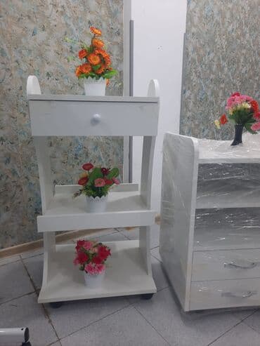 su sifarişi tonla: Etejerka
Daşıyıcı
təkərli 
polkalı
Kosmetoloji — 1