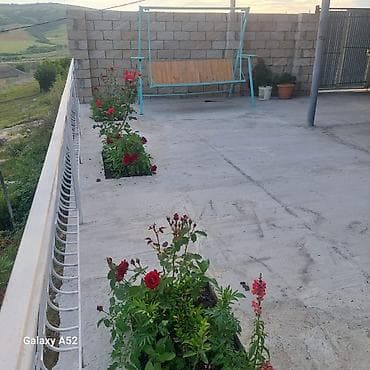 ekin sahesi: 110 kv. m, 3 otaqlı, Kombi, Qaz, İşıq — 2