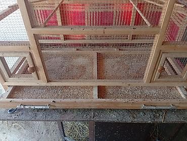 quslar: Taxta quş qəfəsi/volyer - Material: möhkəm taxta karkas, xırda gözlü — 2