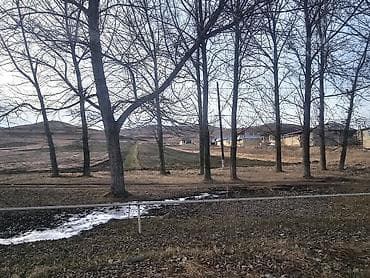 Bağ evləri: 12 sot, Tikinti, Mülkiyyətçi, Kupça (Çıxarış) — 8