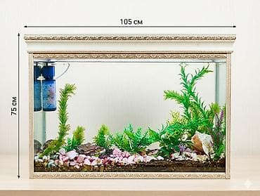 Akvariumlar: Dördbucaq akvarium, Balıqlarla birlikdə, 250 l, Ünvandan götürmə — 2
