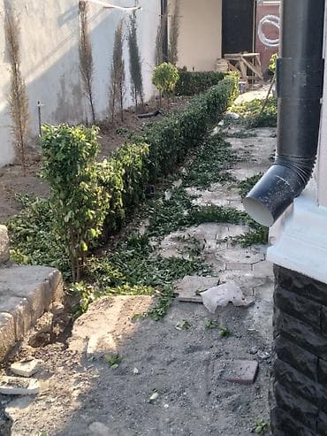 Tikinti və təmir: Pejaj və landşaft xidmətləri - Həyətyanı sahələrin tam — 4