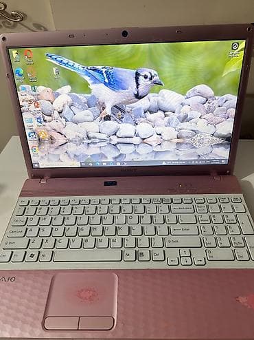 noutbuk canta: Sony VAIO notbuk - Model: VPCEH36FX (15.5") - Rəng: çəhrayı — 1