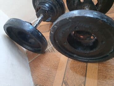 segvey qolu: Qantellər, Çəki: 28 kq, İşlənmiş — 2