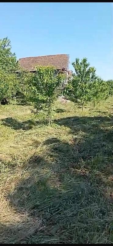 Земельные участки: 18 соток, Для сельского хозяйства, Риэлторам не беспокоить, Купчая, Техпаспорт — 4