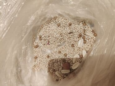 взять фотоаппарат в аренду: Satilir ucuz giymətə packa dolu muncug 2 manat — 7