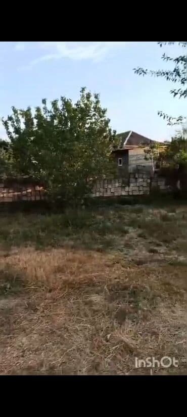 ovcu mağazası unvan: 18 sot, Biznes üçün, Mülkiyyətçi, Kupça (Çıxarış), Texniki pasport — 5