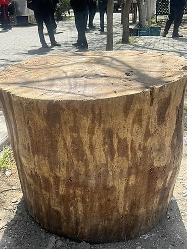 Maqza baqlandiqna gore satram enlyi bir metre boyuk et kotyu tecli