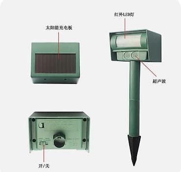 Yuvalar: Heyvan qovan İlan qovan Sumqayıt şəhəri 10 cu mkr Xəlifə şadlıq — 3