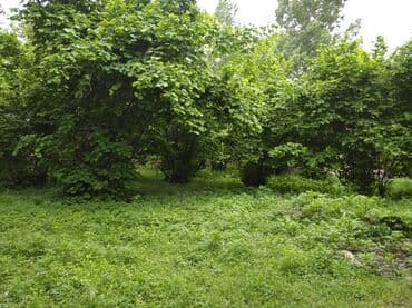 1 комнатная квартира студия: 30 sot, Barter mümkündür, Kupça (Çıxarış) — 3