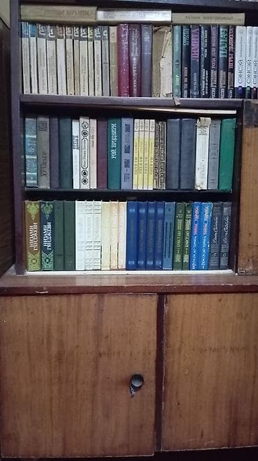 Məhsul: Ev kitabxanası – müxtəlif janrlarda böyük kitab kolleksiyası
