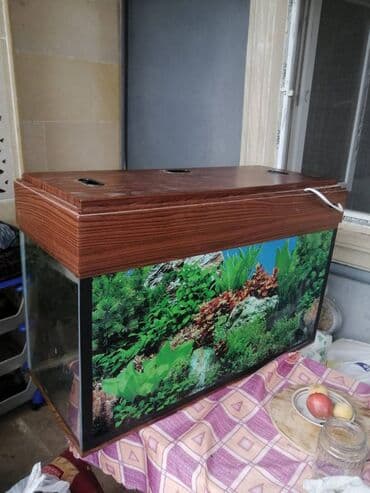 akvarium 120 cm: Çox yaxşı vəziyyətdədir — 4