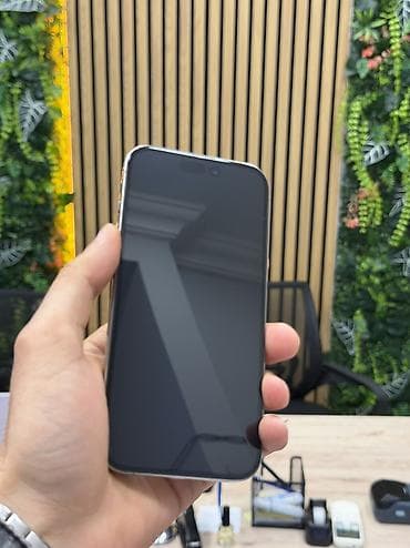 12 iphone: IPhone 15 Pro, 128 GB, Gümüşü, Face ID — 6