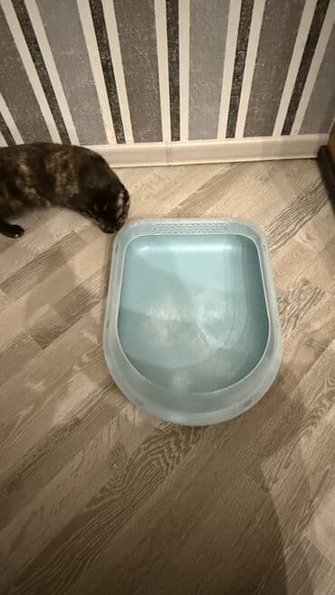 toyuq ucun yem qablari: Məhsul: Pişik tualeti (qum qabı) Ölçü: Uzunluq 35, Eni 30, hündürlüyü — 4