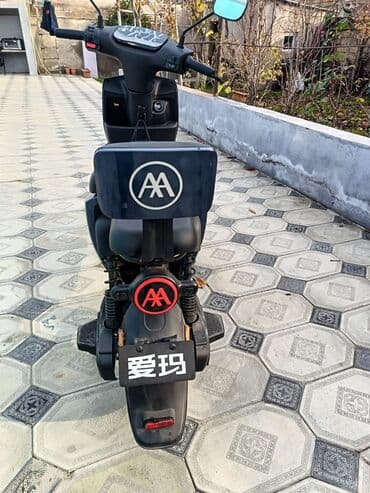 elekdirikli sukutur: - AIMA, 2024 il — 3