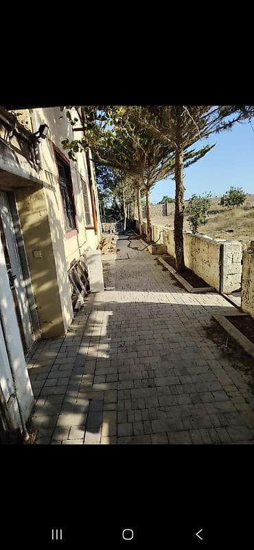 lepe: Kənd təsərrüfatı, Kupça (Çıxarış) — 5