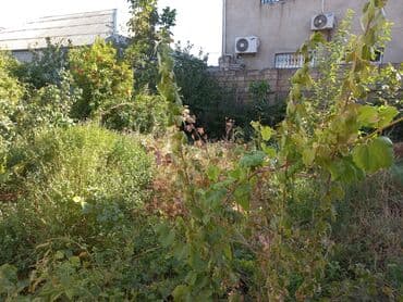 tap az yeni guneslide kiraye evler: Binəqədi qəs. 8 otaq, 240 kv. m, Kredit yoxdur, Yeni təmirli — 4