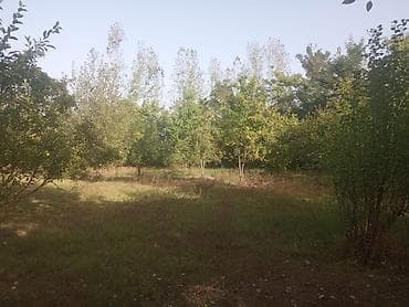 torpaq barter: 8 sot, Tikinti, Maklerlər narahat etməsin, Kupça (Çıxarış) — 3