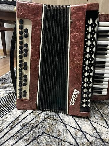 Zərb alətləri: Akustik Akkordeon — 1