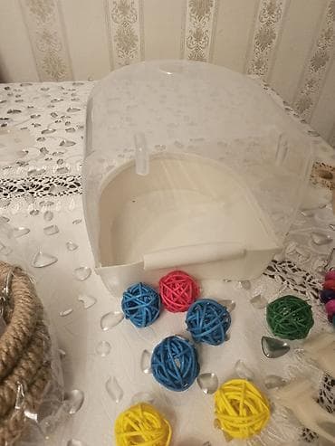 Heyvanlar üçün mallar: Nimfa (cockatiel) cütlüyü və tam avadanlıqlı qəfəs dəsti. Biri erkek — 10