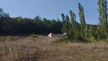 продается земельный участок: Tikinti — 1