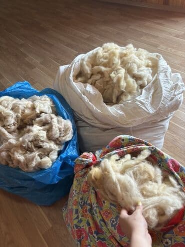 təmiz yun: Yuyulmuş didilmiş temiz yun 8 kg. Kg 3 manata — 1