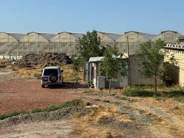 Lexus: 30 sot, Kənd təsərrüfatı — 8