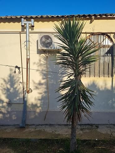 kreditle evler ucuz: Bakı, Hövsan qəs., 100 kv. m, 3 otaqlı, Hovuzsuz, Qaz, İşıq, Artezian quyusu — 3