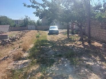 su bacok: Tikinti, Mülkiyyətçi, Kupça (Çıxarış) — 6