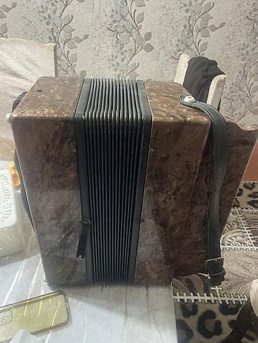 bayan akkordeon: Akustik Akkordeon — 4