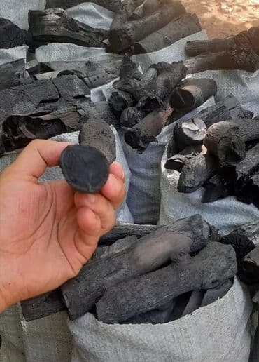 купить угли для мангала: Torbada odun kömürü - Təbii ağac budaqlarından hazırlanmış klassik — 3