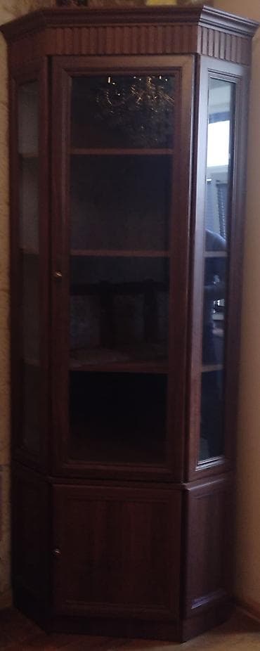 Сеточные витрины: Стеклянная витрина-шкаф — 1