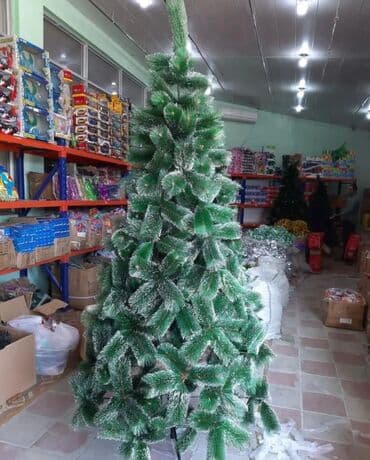 böyük yolka: Yolka — 1