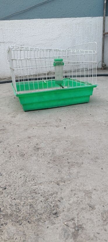 клетки для морской свинки: Qəfəslər — 1