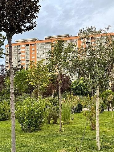 bəylər hacıyev: Kirayə mənzil — 20 Yanvar 📍 20 Yanvar, Meşə Parkı ərazisi 🏢 16 — 3