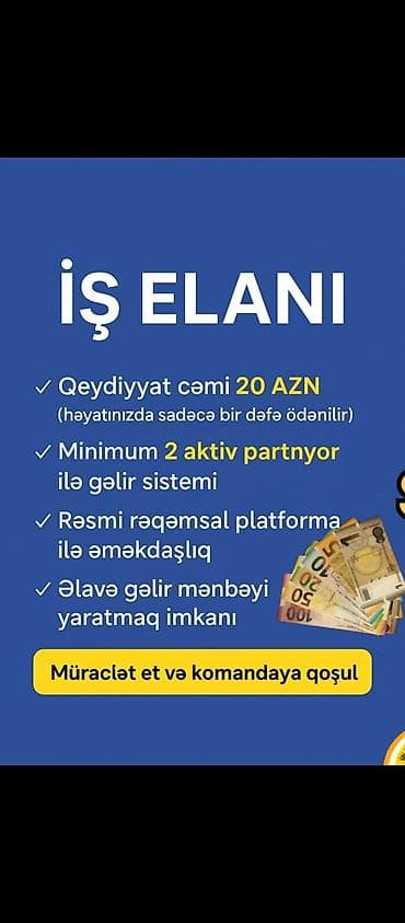 Rəqəmsal platforma üzərindən əlavə qazanc imkanı təqdim edən sistem — 1